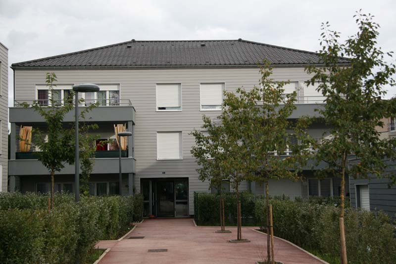 00369-00001-00000-00000_02