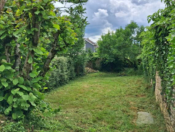 jardin